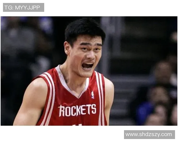 姚明丽律师：为您解读法律难题与维护权益的最佳选择