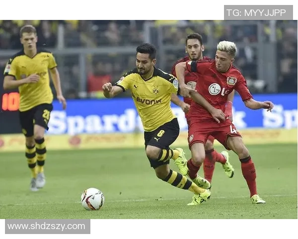 意甲精彩对决多特蒙德凭帽子戏法逆转里昂全场沸腾