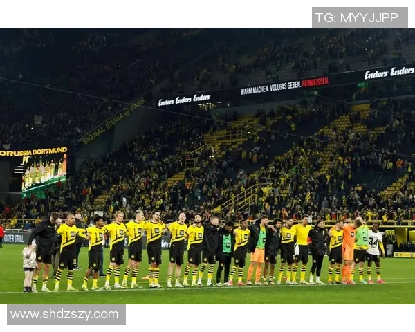 德甲激战：多特蒙德逆转切尔西全场沸腾精彩瞬间回顾