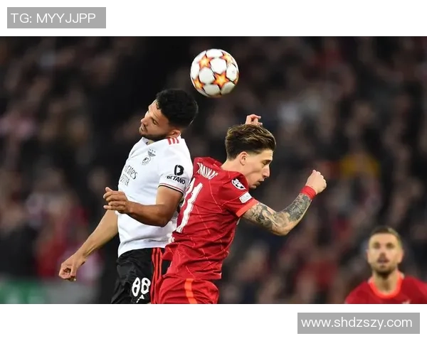 世界杯精彩对决利物浦点球大战险胜本菲卡十大经典进球回顾