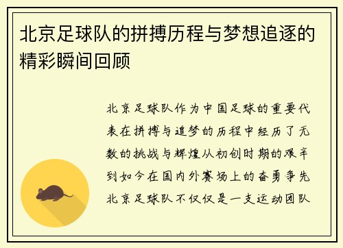 北京足球队的拼搏历程与梦想追逐的精彩瞬间回顾
