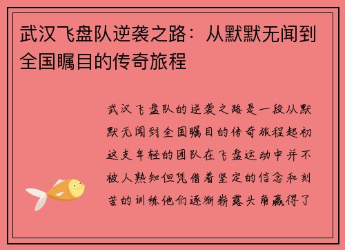 武汉飞盘队逆袭之路：从默默无闻到全国瞩目的传奇旅程