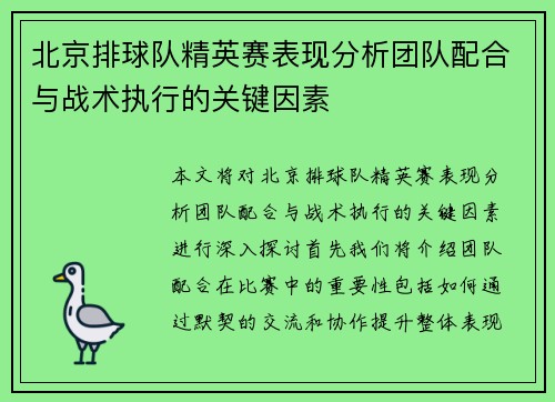 北京排球队精英赛表现分析团队配合与战术执行的关键因素